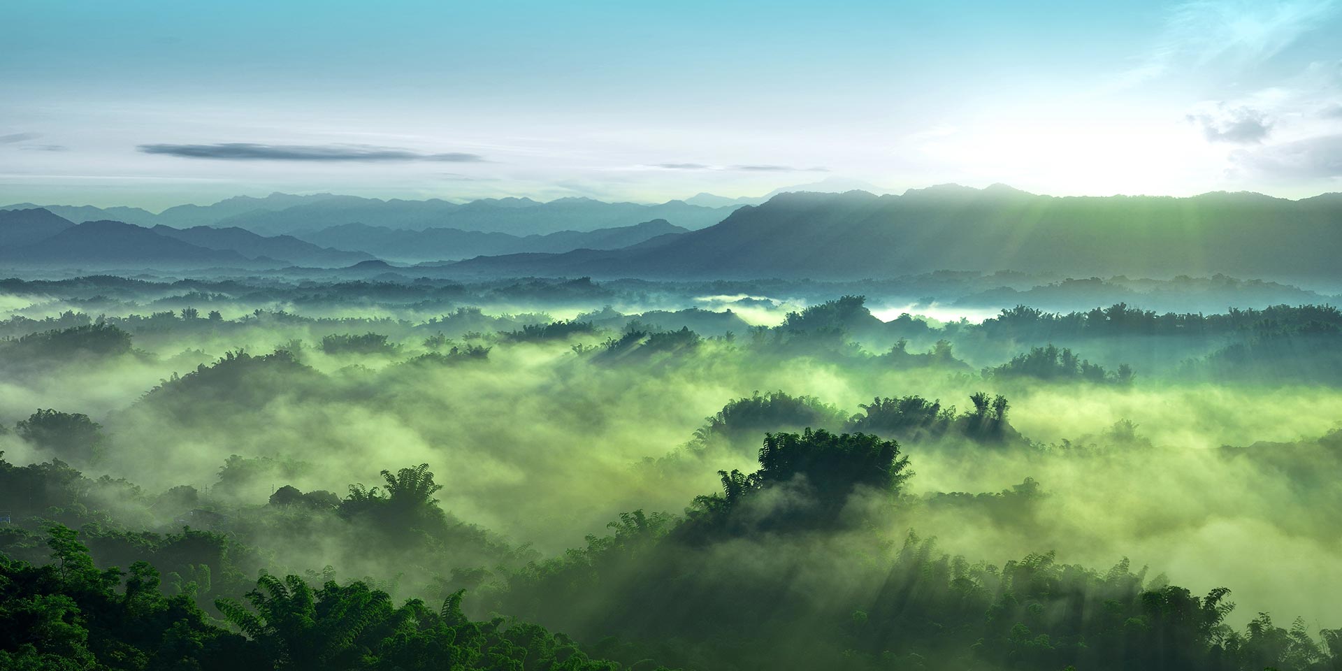Pollution and Emission Reduction